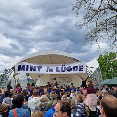 Bild vergr&ouml;&szlig;ern: MINT