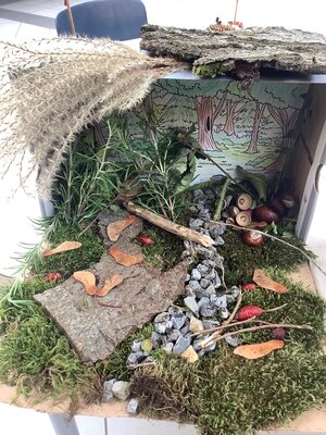 Bild vergr&ouml;&szlig;ern: Wald im Schuhkarton